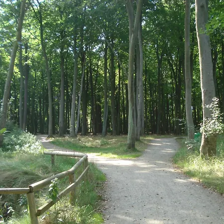 Daire Ferienobjekt Mueritz A4